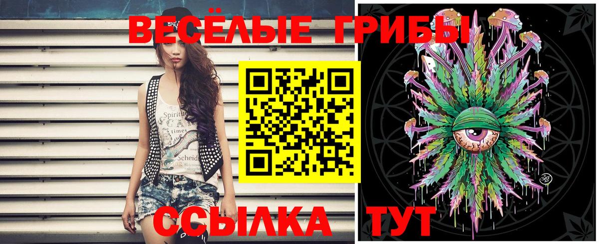Галлюциногенные грибы Psilocybe Верхняя Пышма