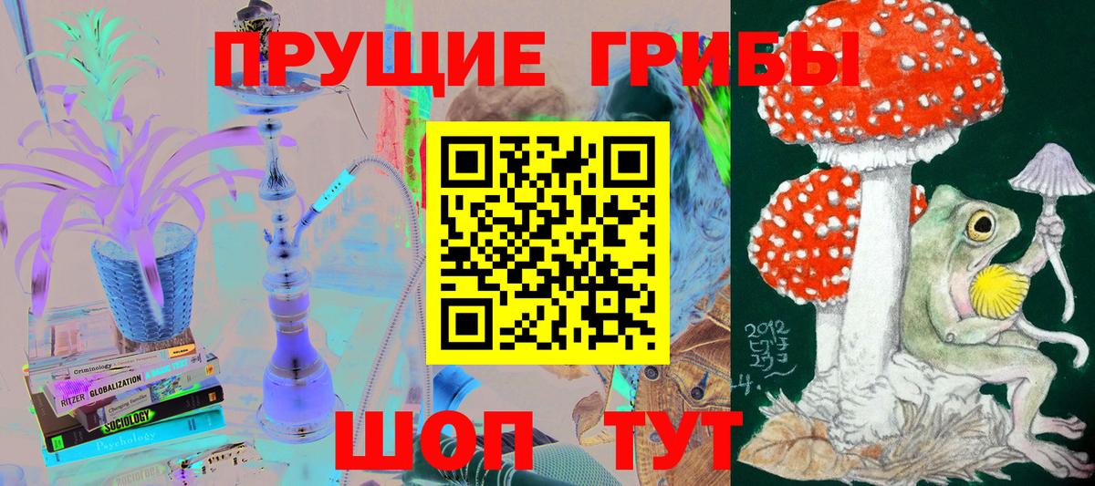 Верхняя Пышма  как найти наркотики  Вход с VPN  Псилоцибиновые грибы мицелий 